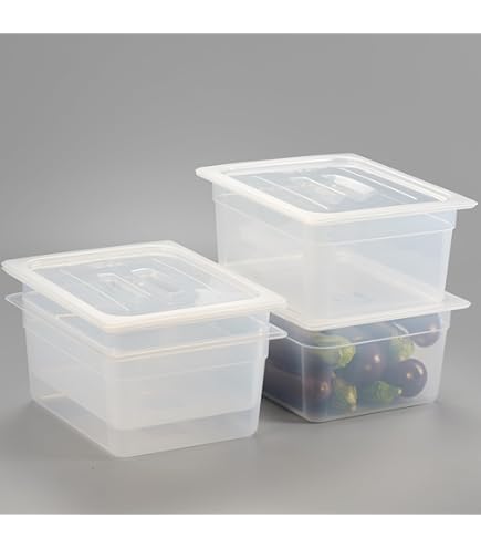 Amazon.com: Cambro Set of 3 Translucent Food Pans and Seal Covers